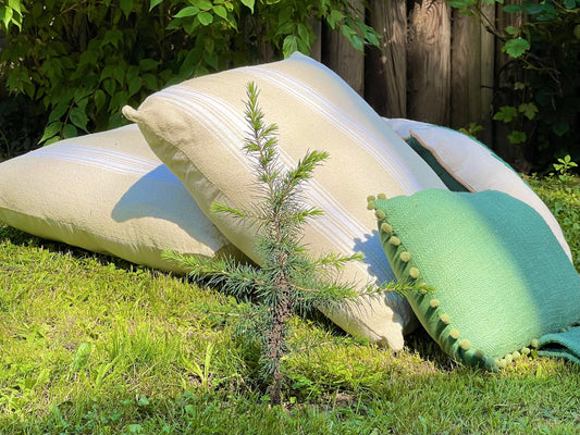 3 raisons de faire la sieste en été.