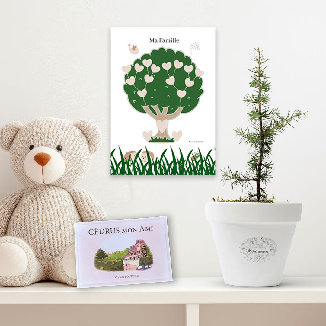 Pack Enfant trio