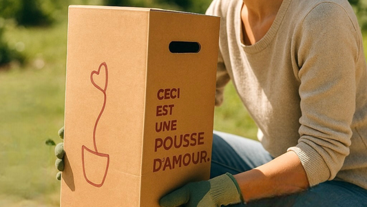 Une pousse d'amour dans son coffret recéptionnée par son hote