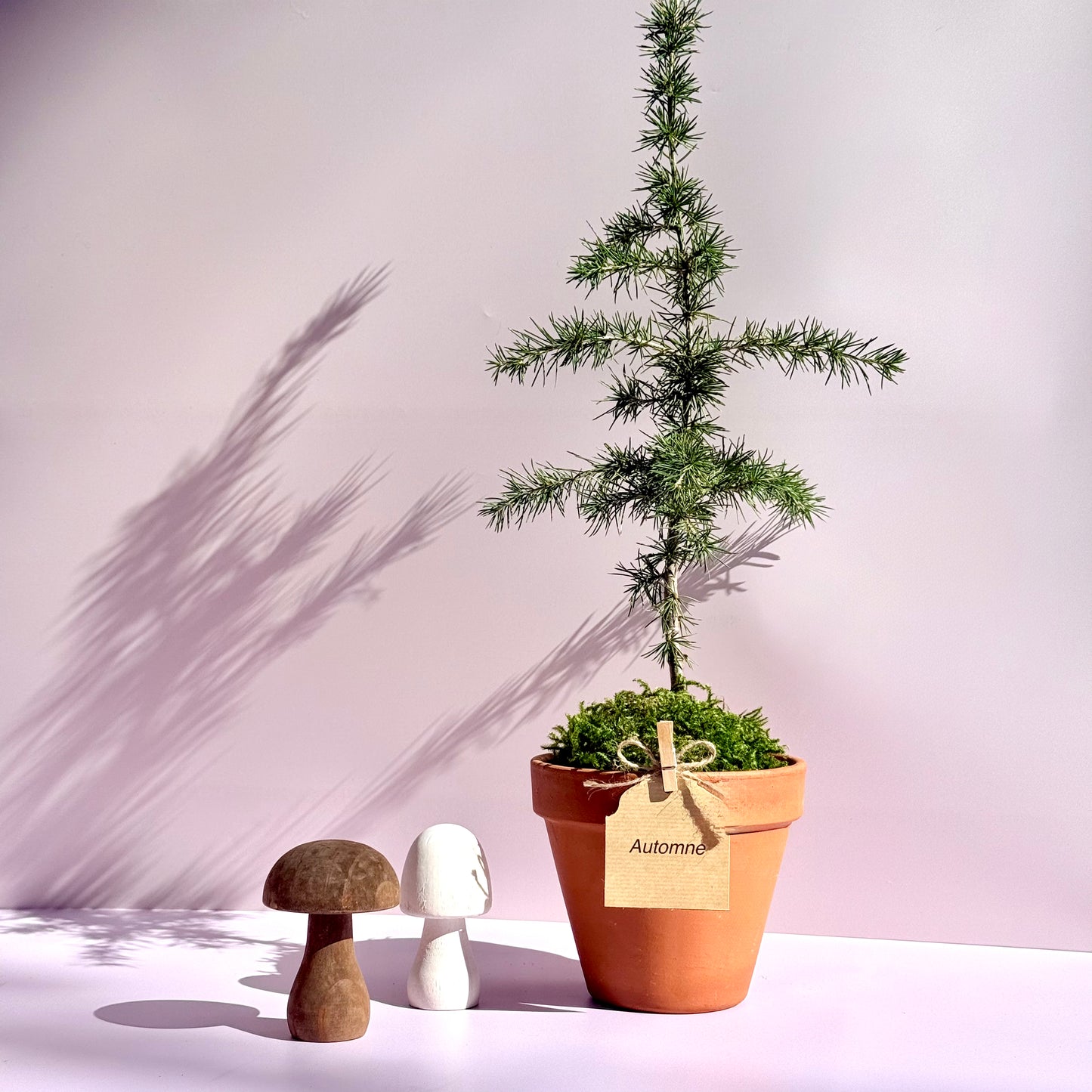 La Pousse d'amour - Automne