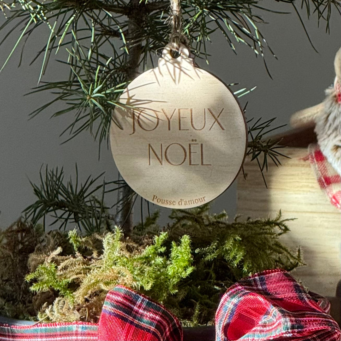 La Pousse d'amour - Noël