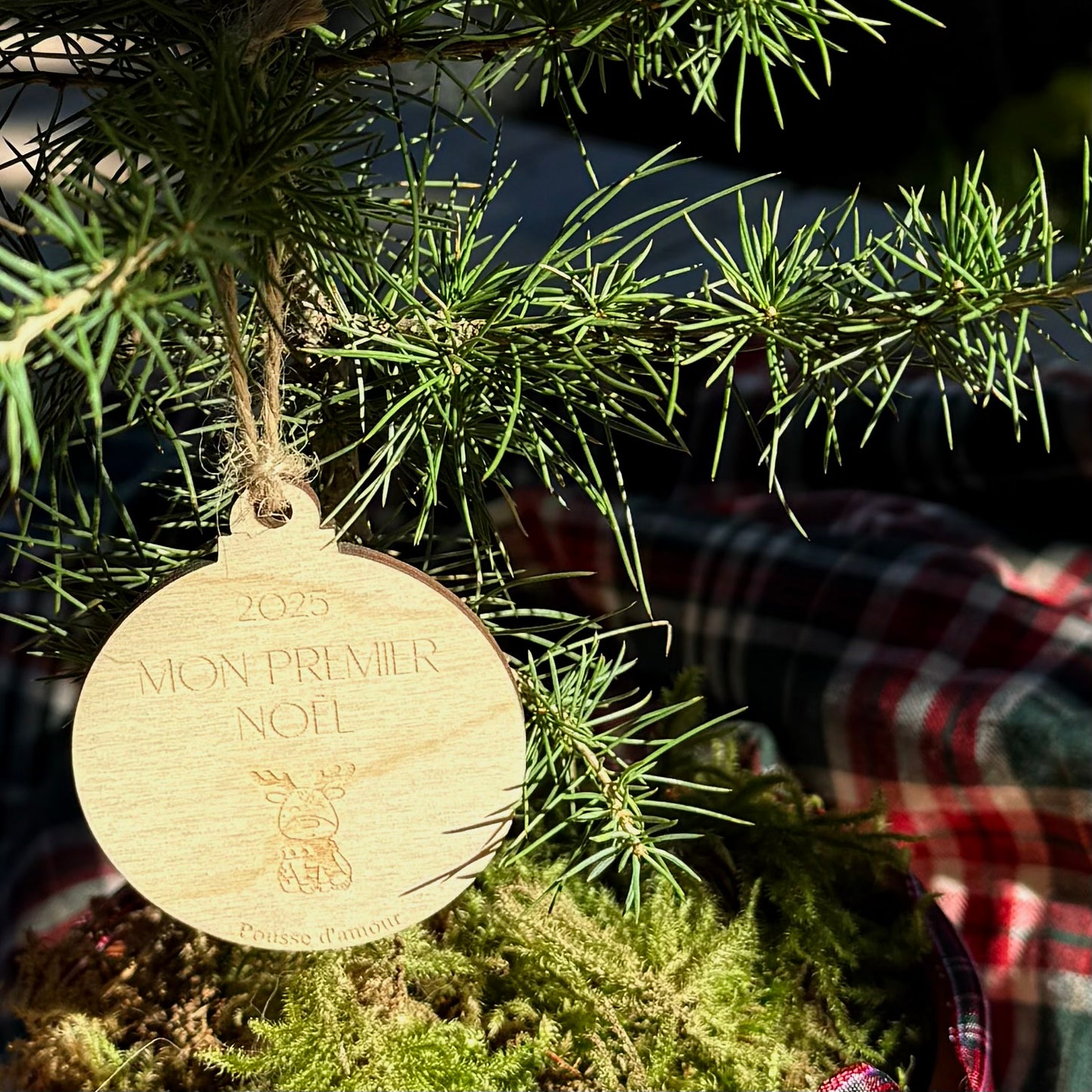La Pousse d'amour - Mon premier Noël