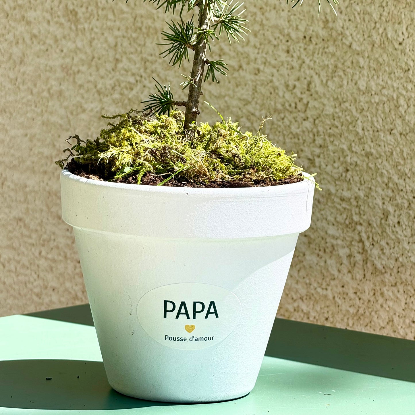 La Pousse d'amour pour Papa