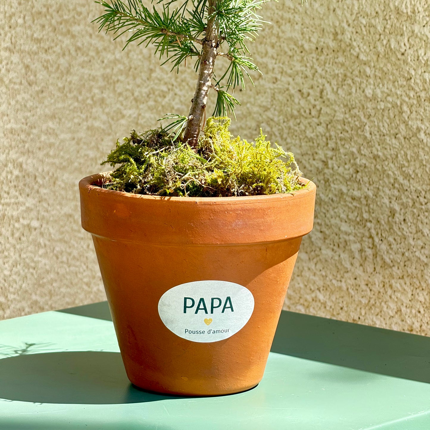 La Pousse d'amour pour Papa